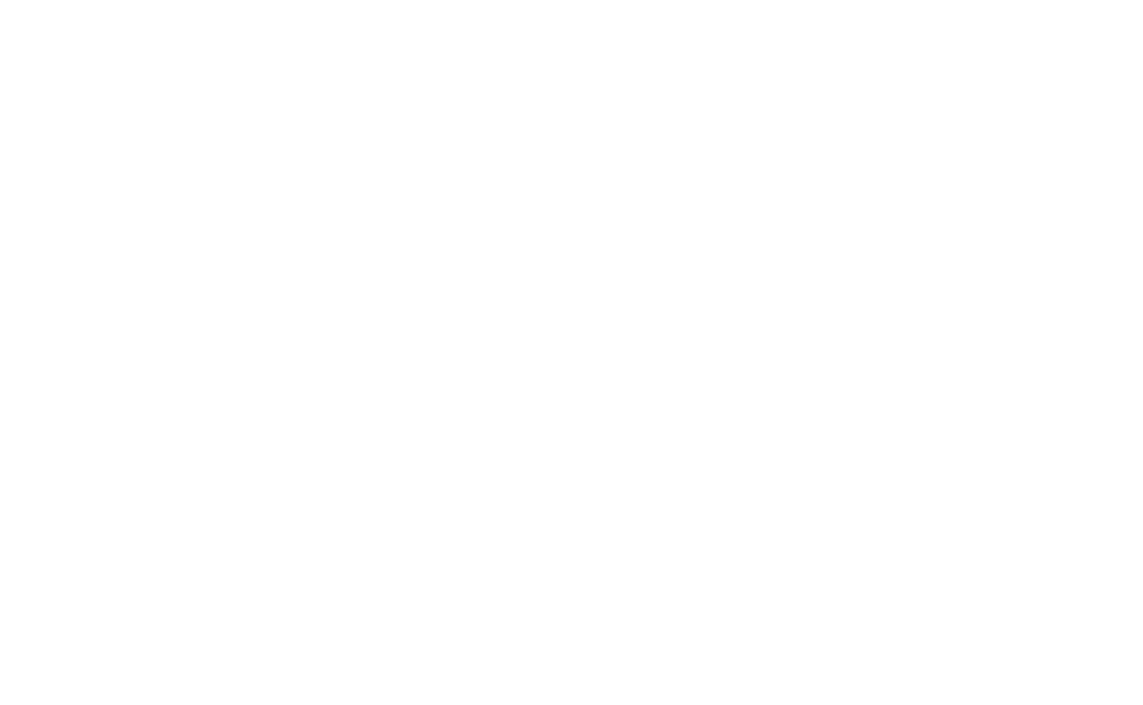 New Logo 2023 white