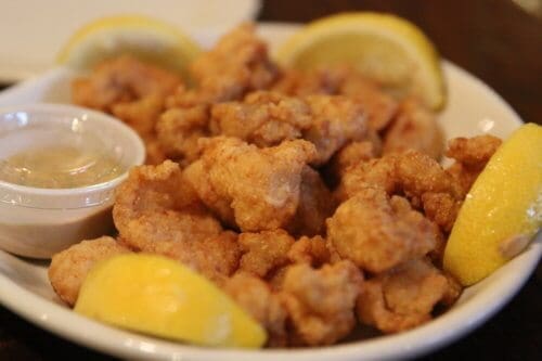 alligator bites
